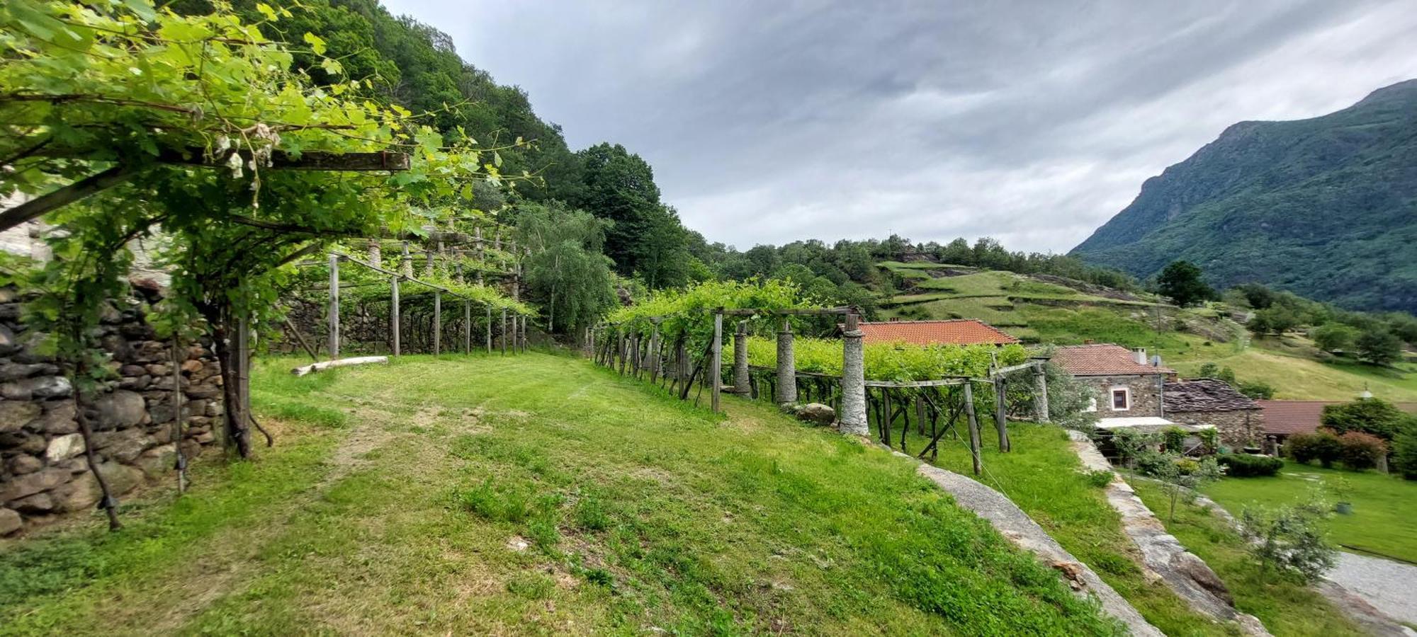 Bed and Breakfast Relais Del Brigante Settimo Vittone Экстерьер фото