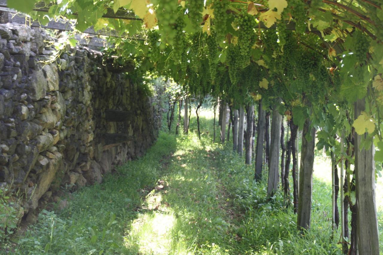 Bed and Breakfast Relais Del Brigante Settimo Vittone Экстерьер фото